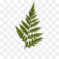 漂浮小草