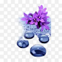 紫色水珠花朵