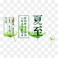 夏至节气荷花免抠装饰素材