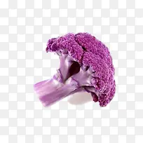 紫色的菜花素材图片