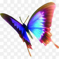 彩色光效翅膀蝴蝶