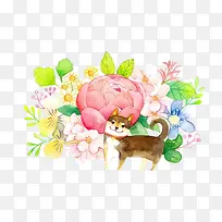 傻狗哈士奇和花