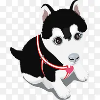 手绘卡通可爱哈士奇幼犬