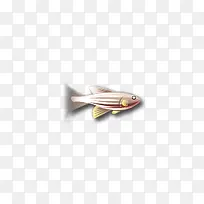 小海鱼动物图标
