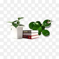 盆栽 书本 绿色植物