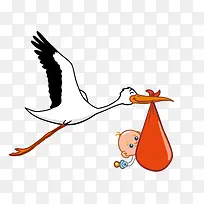 婴儿 鸟 鹤 叼着的婴儿