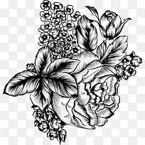 中国古典艺术花卉叶子线描png