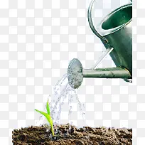 水壶浇灌植物