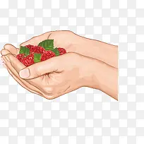 捧着草莓的手