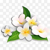 花，花朵，白花，淘宝素材，白色