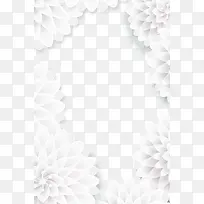 白色美丽花朵框架