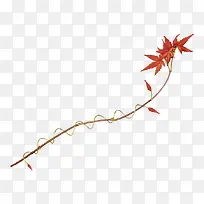 花枝花草免抠PNG图片 绿叶