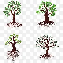 矢量树木成长过程