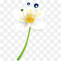 一朵白兰花