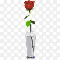 花瓶带刺花朵单支玫瑰