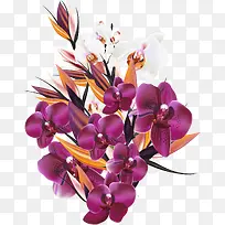 矢量手绘紫色花朵