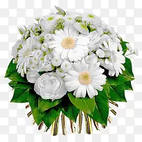 白色雏菊植物花束