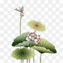 春节中国风荷花