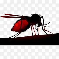 蚊子吸血