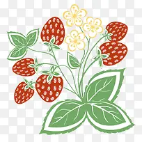 扁平风草莓树结果与花
