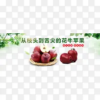 天水花牛苹果淘宝banner