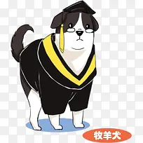 穿博士服的牧羊犬