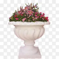 花圃花坛园艺