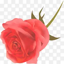 手绘单支玫瑰花朵艺术