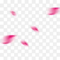 花瓣漂浮