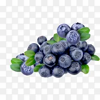 实物新鲜采摘蓝莓