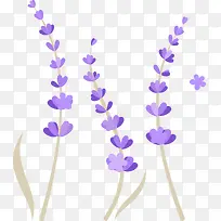 紫色卡通花枝