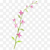 美丽水彩紫色小花枝02