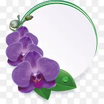 梅花，花朵，淘宝素材，花絮，矢