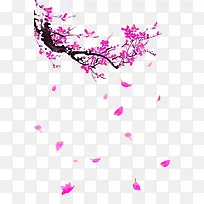 紫色的梅花