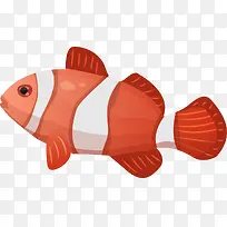 海洋生物红色条纹小鱼