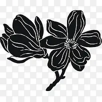 创意黑色玉兰花朵