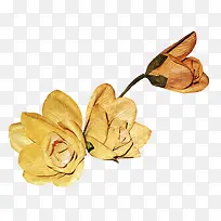 枯萎的花瓣