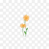 野菊
