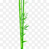 扁平手绘质感绿色的竹子