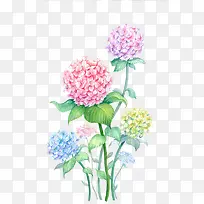 手绘花球