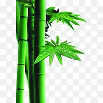 手绘创意高清合成小狗绿色质感竹子