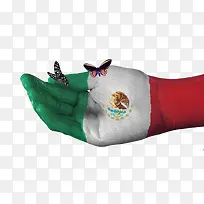 创意墨西哥国旗手绘蝴蝶图案