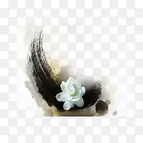 白花