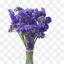 浪漫紫花