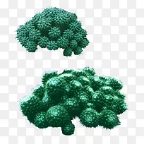 耐旱类植物模板下载