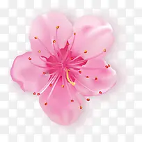春天唯美粉色喇叭花