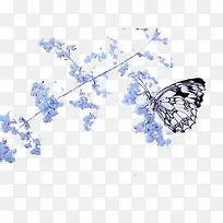 冬日梅花