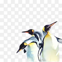 企鹅水彩图素材图片