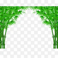 鲜绿色竹子竹叶边框