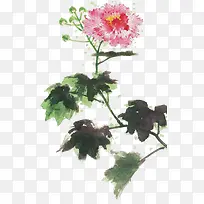 手绘藤蔓花朵